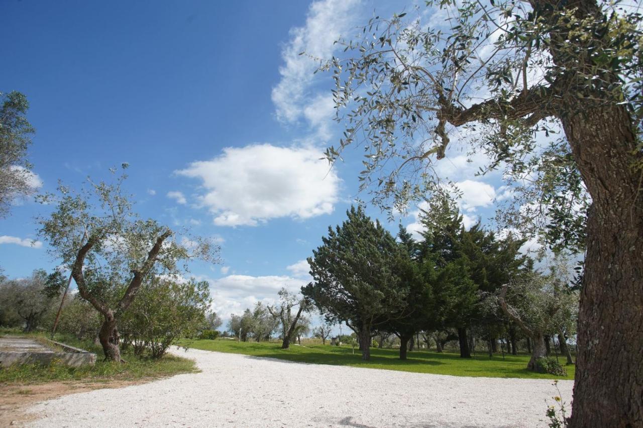 Gli Ulivi Di Gino Bed and Breakfast Sanarica Εξωτερικό φωτογραφία