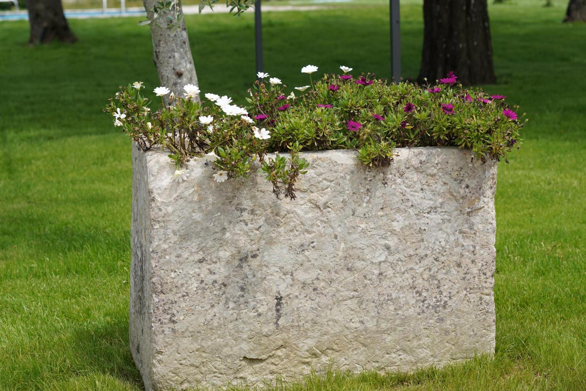 Gli Ulivi Di Gino Bed and Breakfast Sanarica Εξωτερικό φωτογραφία