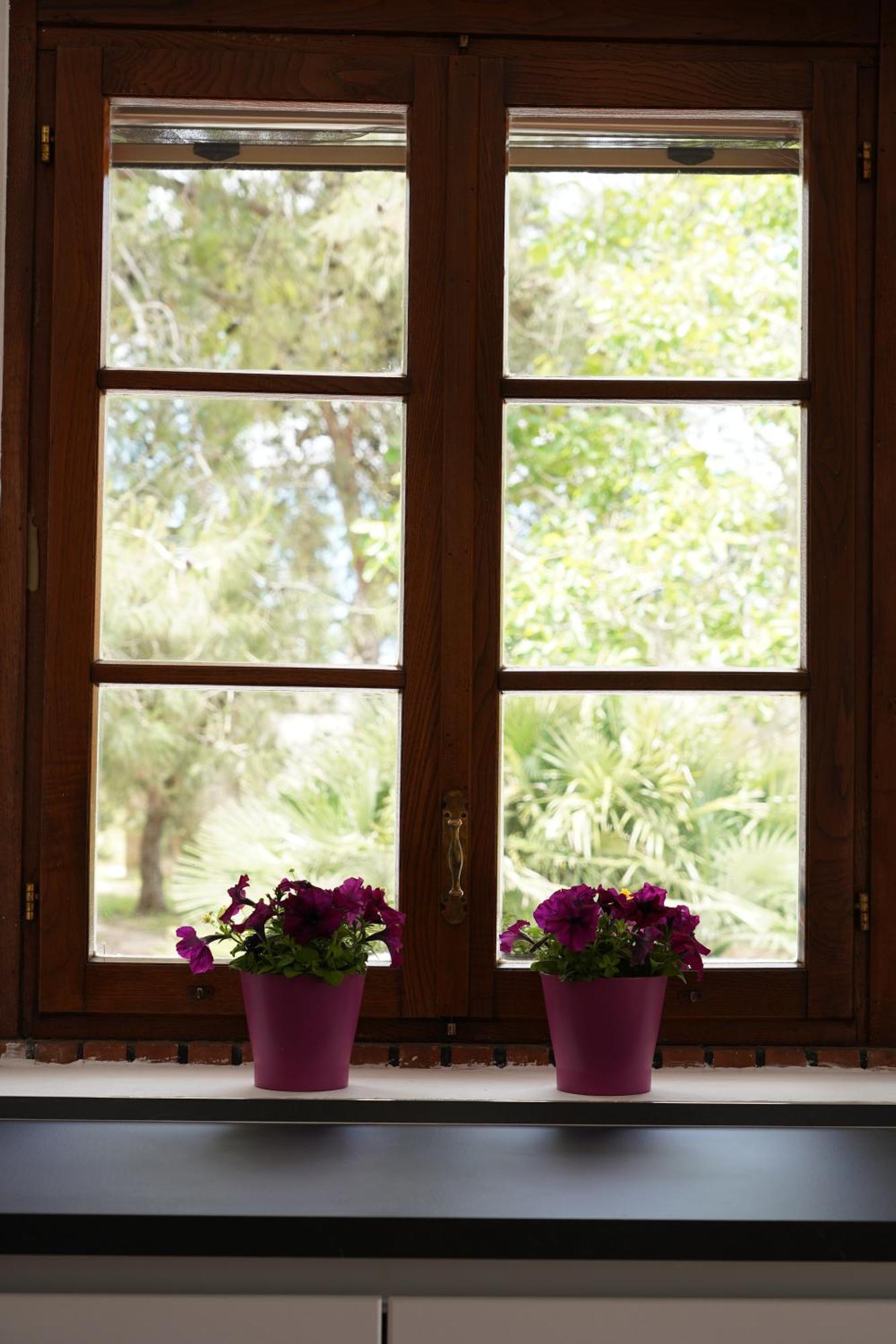 Gli Ulivi Di Gino Bed and Breakfast Sanarica Εξωτερικό φωτογραφία
