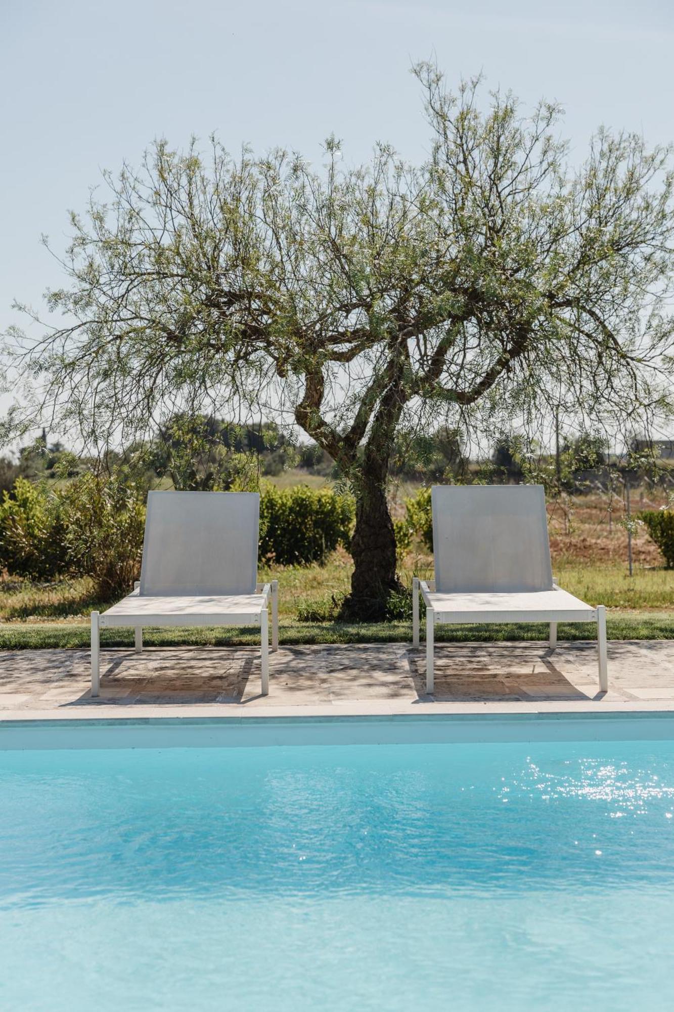 Gli Ulivi Di Gino Bed and Breakfast Sanarica Εξωτερικό φωτογραφία