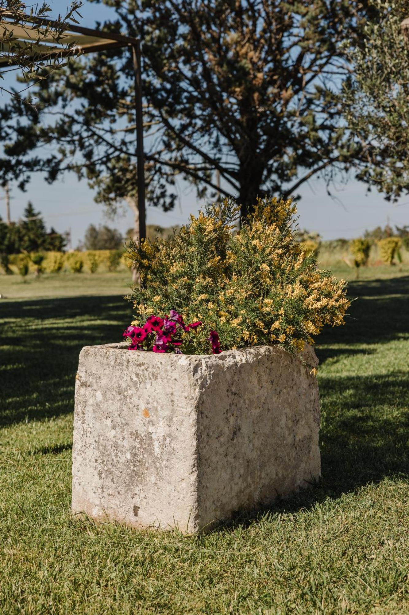 Gli Ulivi Di Gino Bed and Breakfast Sanarica Εξωτερικό φωτογραφία
